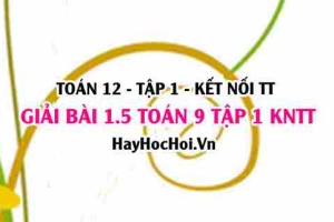 Bài 1.5 Toán 12 tập 1 SGK Kết nối tri thức